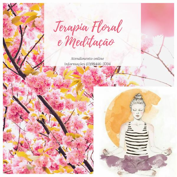 Terapia Floral e Meditação