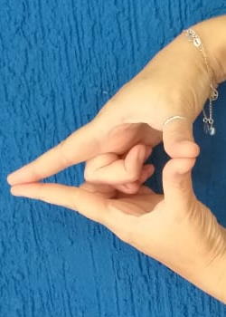 Mudras