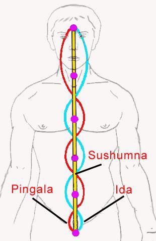 Prana, Nadis e Chacras – Conhecendo os caminhos e canais de energia do corpo